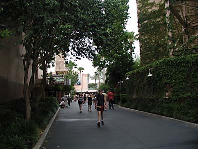 Entering Animation Courtyard